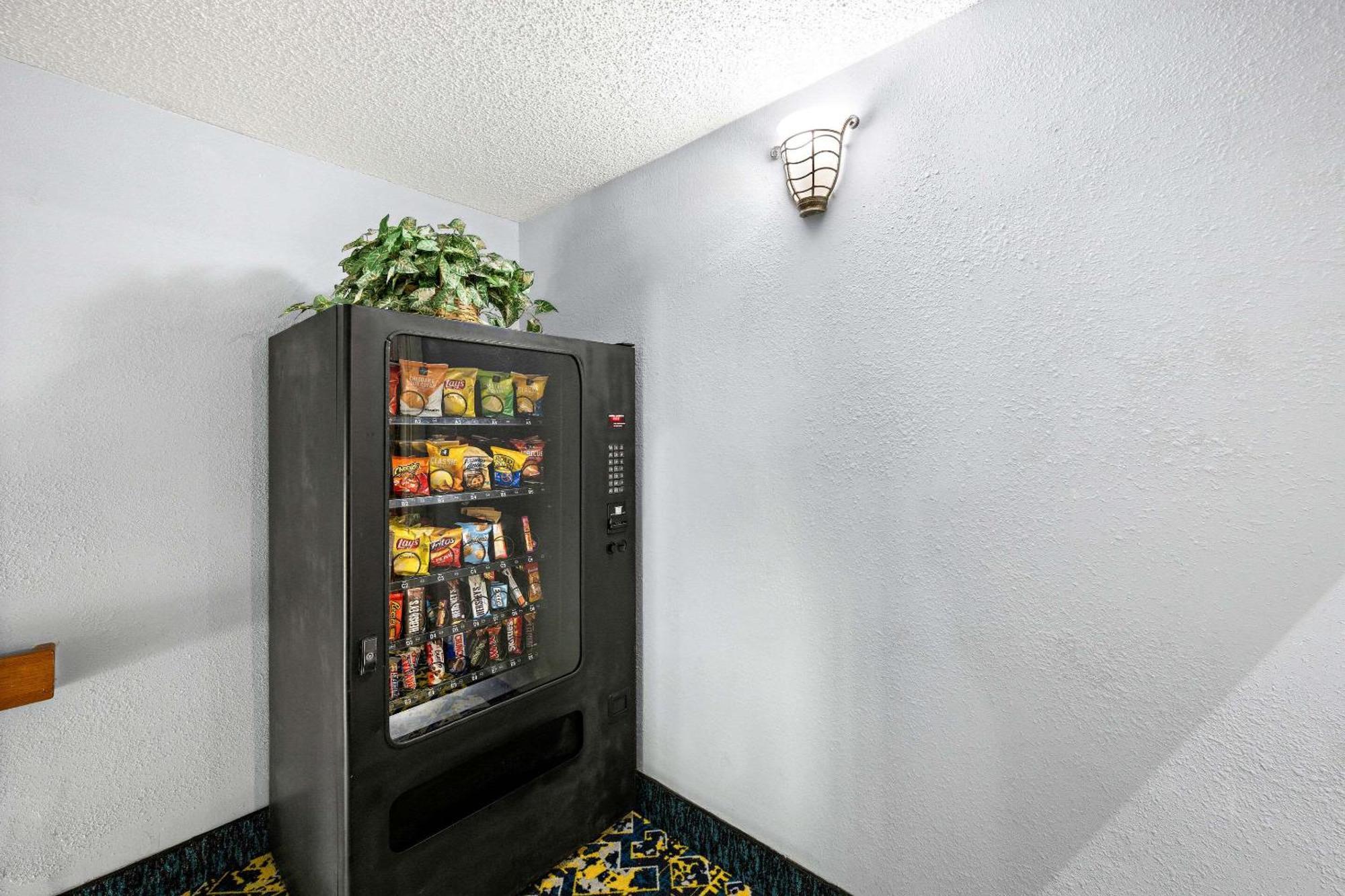 לונדון Econo Lodge מראה חיצוני תמונה